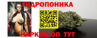 шишки Бузулук