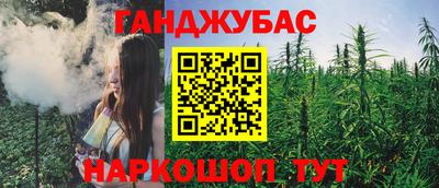 индика Будённовск