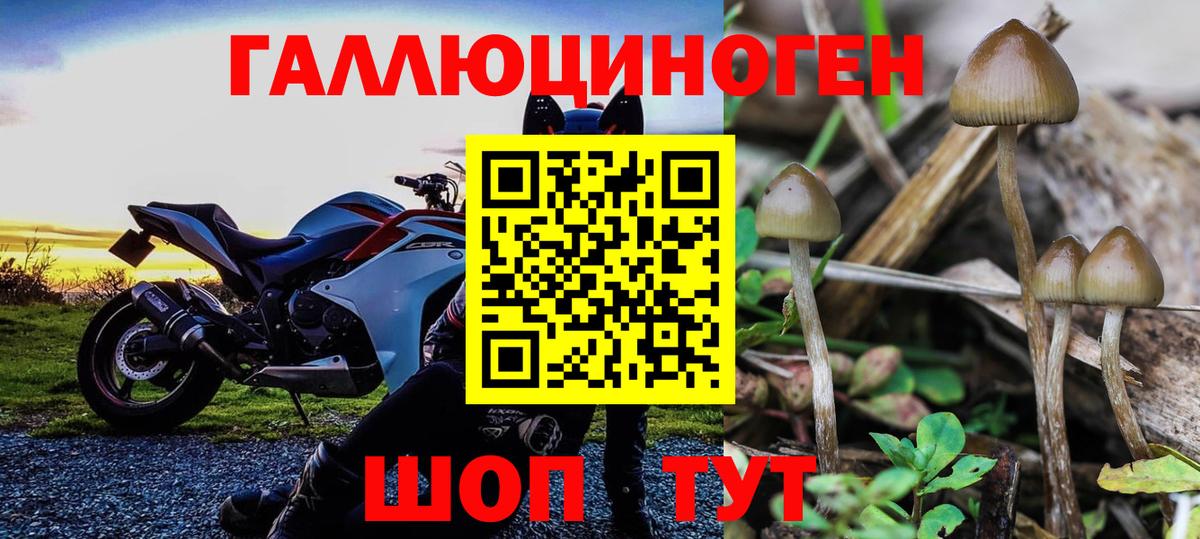 Псилоцибиновые грибы Psilocybe  Вход с VPN  Галлюциногенные грибы Psilocybine cubensis  Учалы 